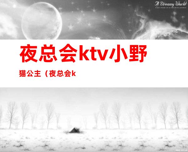 夜总会ktv小野猫公主(夜总会ktv小野猫公主歌词)