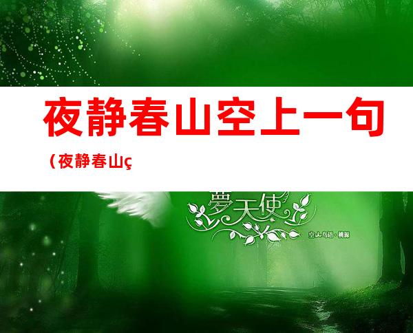 夜静春山空上一句(夜静春山空的上一句是啥?)