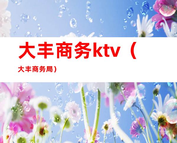 大丰商务ktv（大丰商务局）