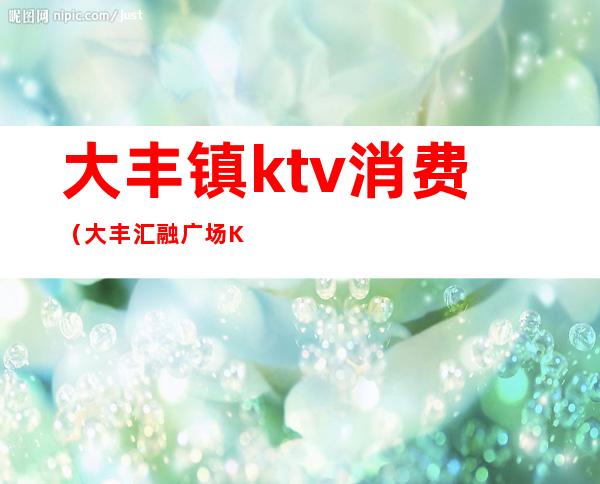 大丰镇ktv消费(大丰汇融广场KTV)