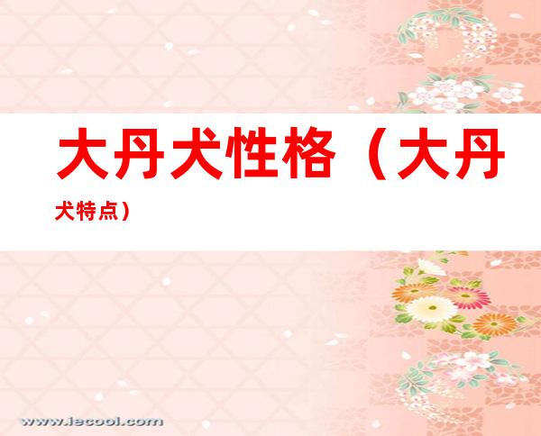 大丹犬性格(大丹犬特点)
