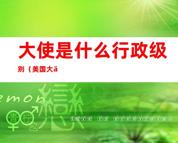 大使是什么行政级别(美国大使是什么行政级别)