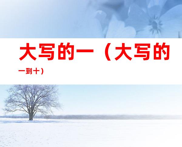 大写的一(大写的一到十)