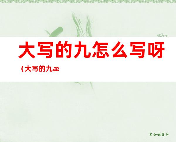 大写的九怎么写呀（大写的九怎么写呀大写的二怎么写?）