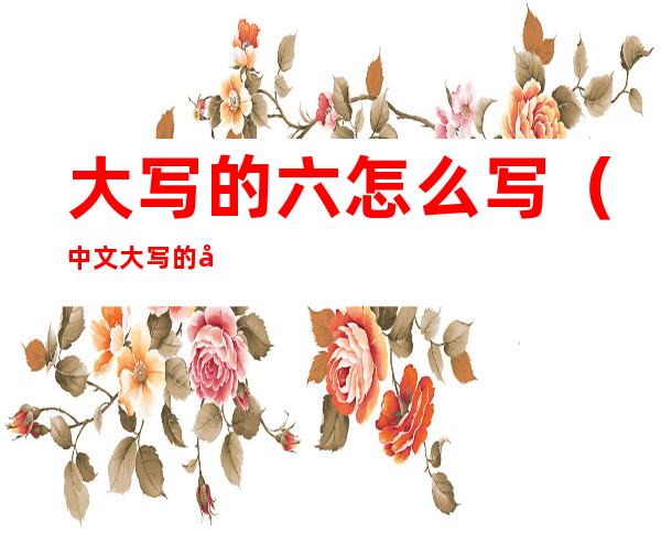 大写的六怎么写(中文大写的六怎么写)