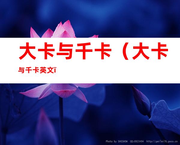 大卡与千卡(大卡与千卡英文)