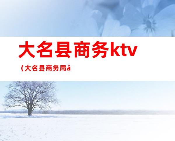 大名县商务ktv（大名县商务局局长）