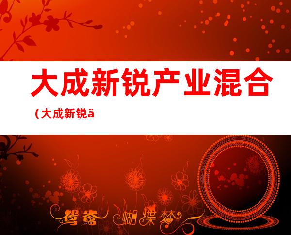 大成新锐产业混合(大成新锐产业混合持仓)
