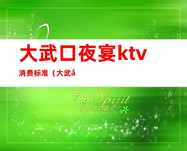 大武口夜宴ktv消费标准(大武口夜场)