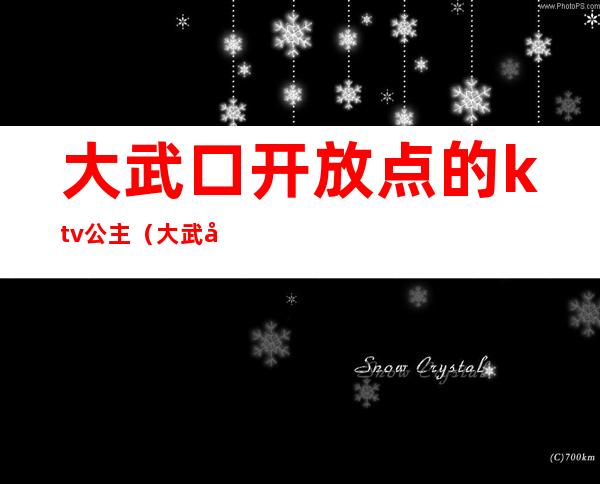 大武口开放点的ktv公主（大武口最好的KTV）