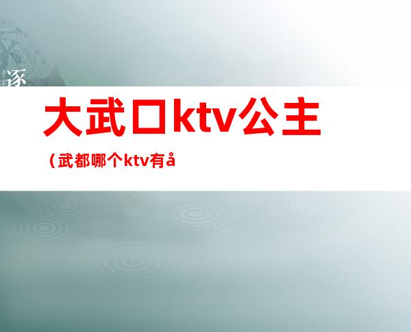 大武口ktv公主(武都哪个ktv有公主)