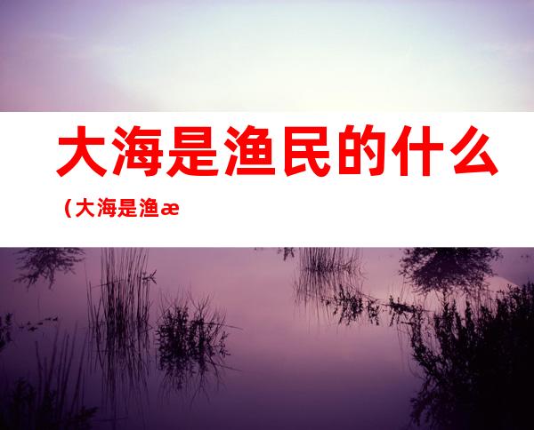 大海是渔民的什么(大海是渔民的什么二年级)