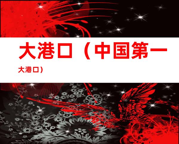 大港口(中国第一大港口)