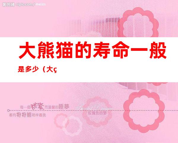 大熊猫的寿命一般是多少(大熊猫的寿命一般是多少,为什么)