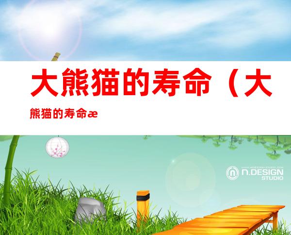 大熊猫的寿命(大熊猫的寿命有多长)