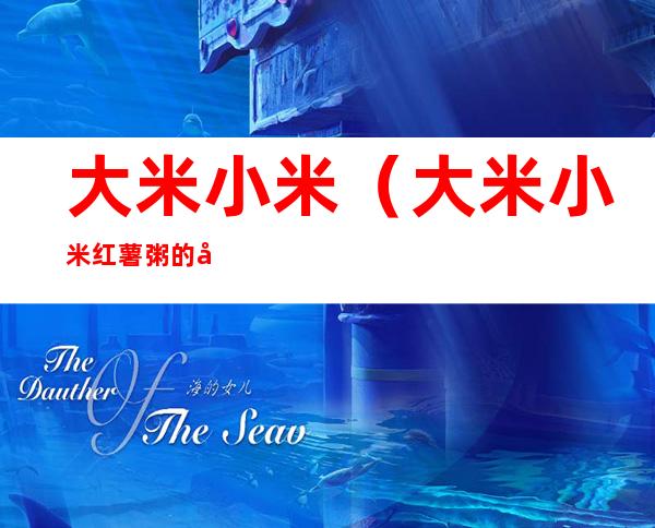 大米小米(大米小米红薯粥的功效与作用)