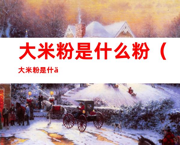 大米粉是什么粉(大米粉是什么粉盐酥鸡)