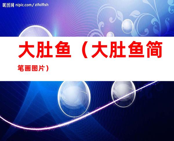 大肚鱼(大肚鱼简笔画图片)