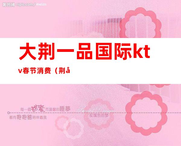 大荆一品国际ktv春节消费(荆州ktv哪家最开放)