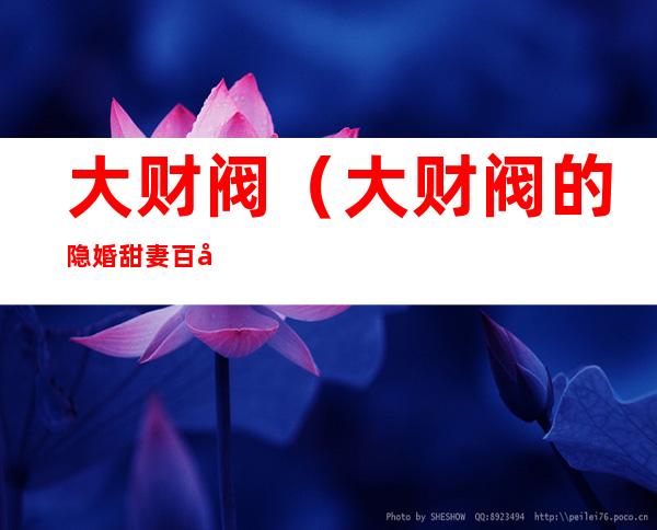 大财阀(大财阀的隐婚甜妻百度云下载)