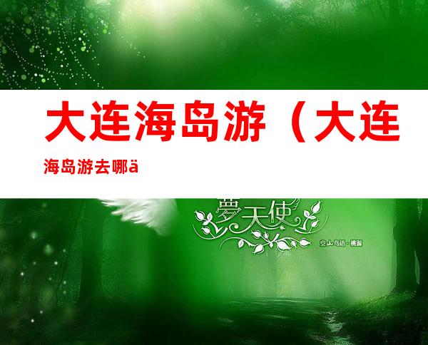大连海岛游(大连海岛游去哪个岛比较好)