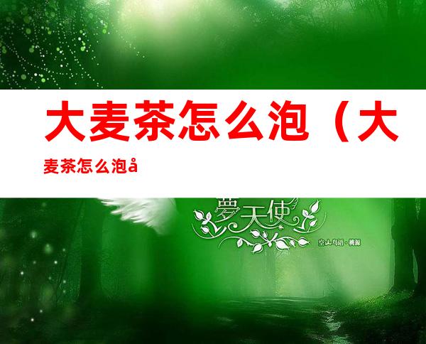 大麦茶怎么泡（大麦茶怎么泡好喝）