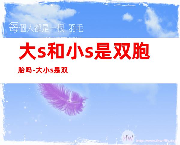 大s和小s是双胞胎吗-大小s是双胞胎吗
