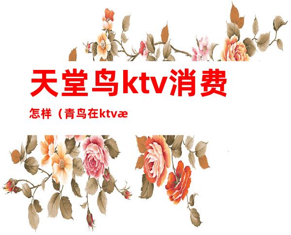 天堂鸟ktv消费怎样（青鸟在ktv怎么点）