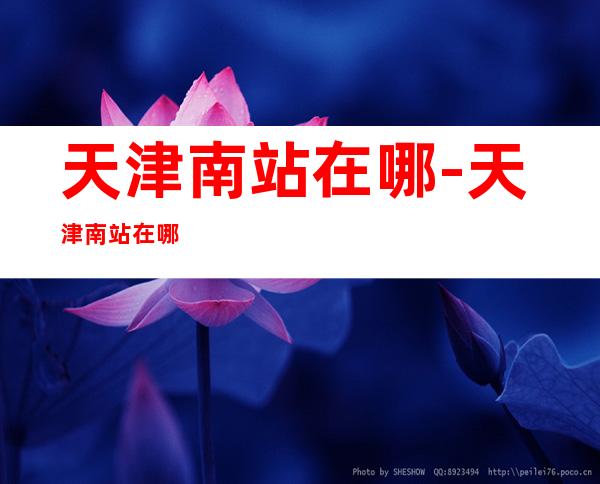 天津南站在哪-天津南站在哪