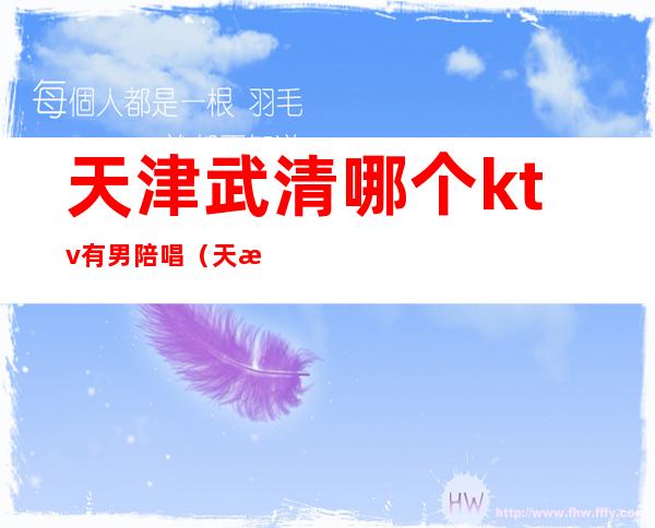 天津武清哪个ktv有男陪唱(天津河北区ktv哪里有陪唱的)
