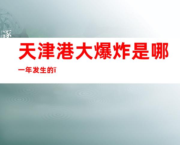 天津港大爆炸是哪一年发生的（天津港口大火爆炸是哪一年）