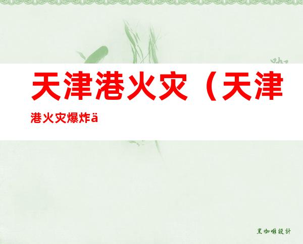 天津港火灾(天津港火灾爆炸事故原因)
