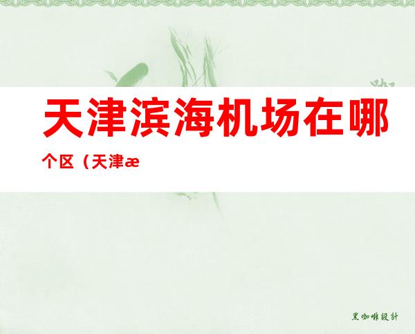 天津滨海机场在哪个区(天津滨海机场在哪个区和哪个区交界)