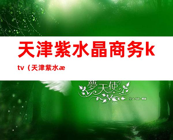 天津紫水晶商务ktv(天津紫水晶商务KTV)