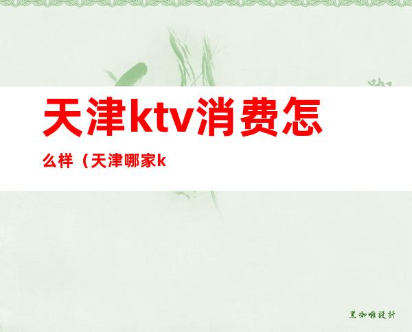 天津ktv消费怎么样(天津哪家ktv歌厅最好)
