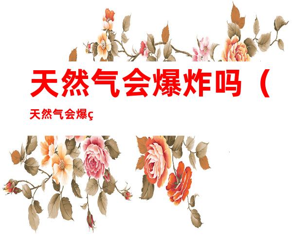 天然气会爆炸吗(天然气会爆炸吗,有毒吗)