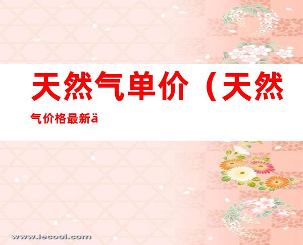 天然气单价(天然气价格最新价格2022)