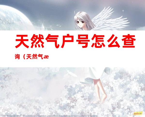 天然气户号怎么查询(天然气户号怎么查询7位数)