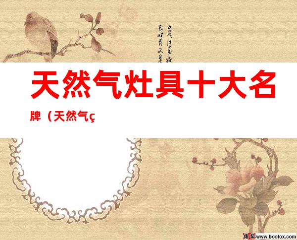 天然气灶具十大名牌(天然气灶十大品牌排行榜)