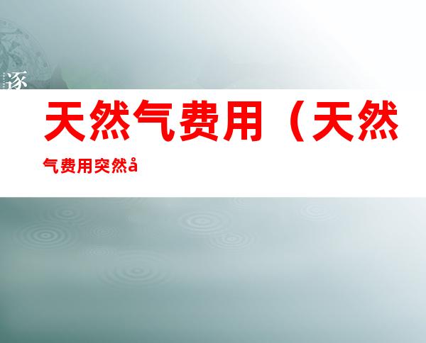 天然气费用（天然气费用突然变很高）