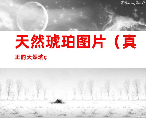 天然琥珀图片（真正的天然琥珀图片）