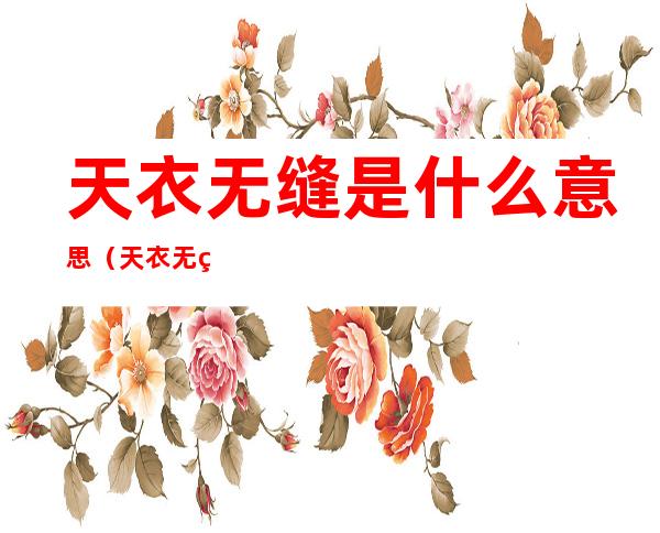 天衣无缝是什么意思(天衣无缝是什么意思简答)