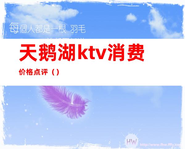 天鹅湖ktv消费价格点评()
