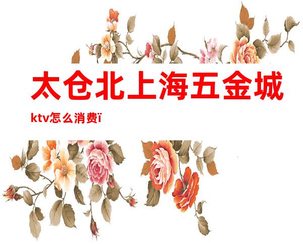 太仓北上海五金城ktv怎么消费(太仓五金城ktv流程)