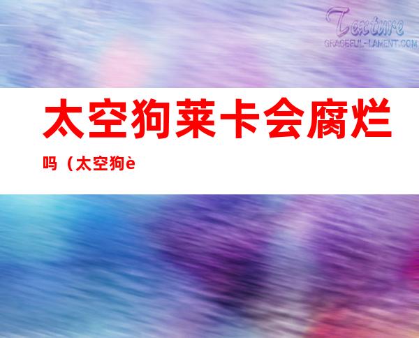 太空狗莱卡会腐烂吗(太空狗莱卡的遗体)