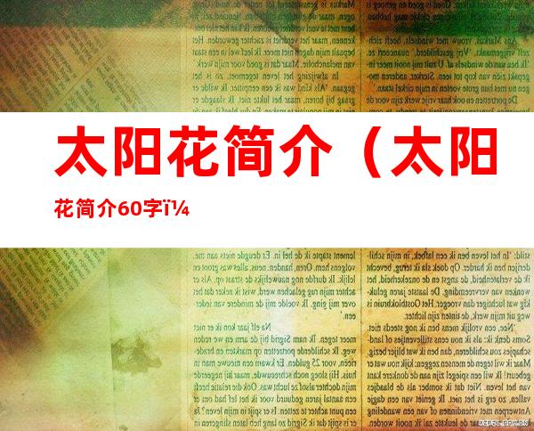 太阳花简介(太阳花简介 60字)