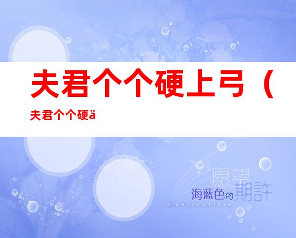 夫君个个硬上弓(夫君个个硬上弓)