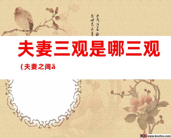 夫妻三观是哪三观(夫妻之间三观是指哪三观)