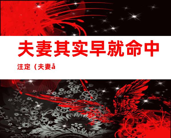 夫妻其实早就命中注定(夫妻其实早就命中注定第一眼就知道是老婆)