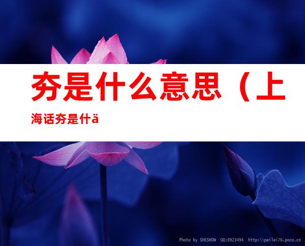 夯是什么意思（上海话夯是什么意思）